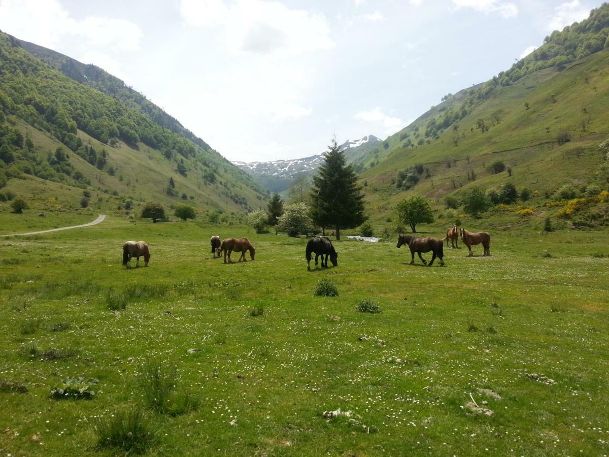 Gite De Montagne Du Plateau De Lhers- Accueil Randonneurs Accous Экстерьер фото