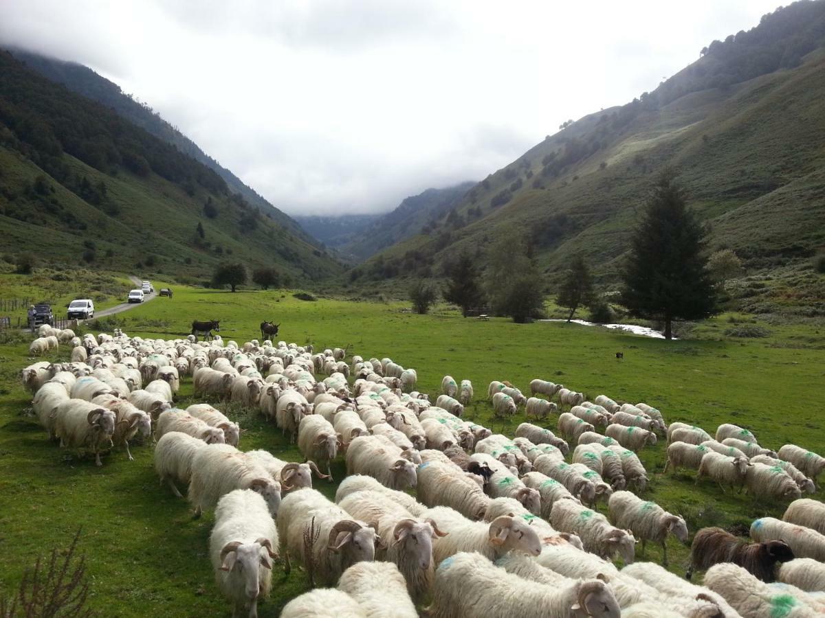 Gite De Montagne Du Plateau De Lhers- Accueil Randonneurs Accous Экстерьер фото
